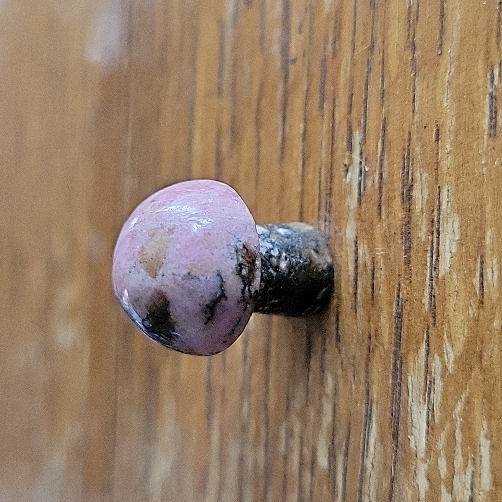 Rhodonite mushroom